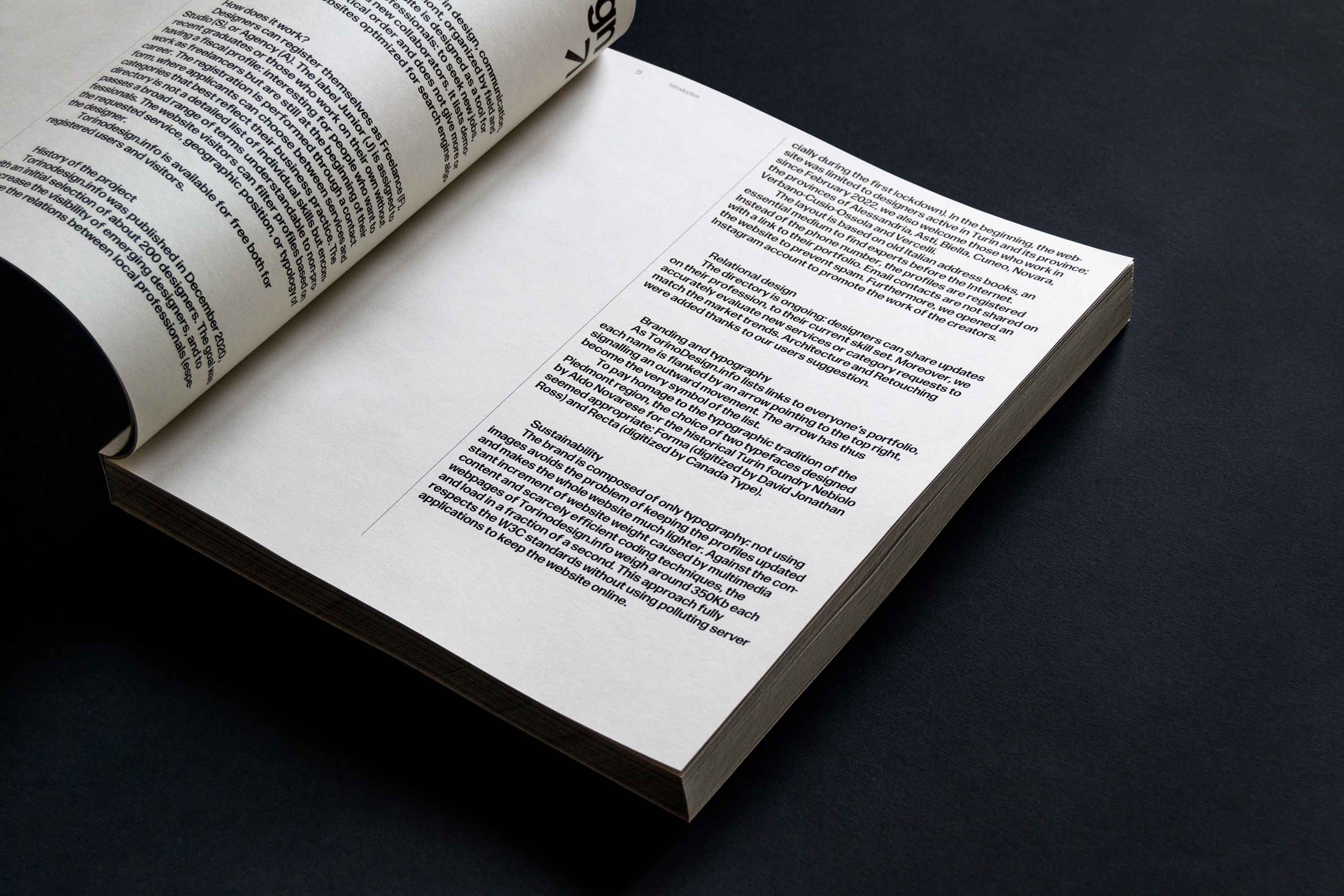 torinodesign.info brand and typography