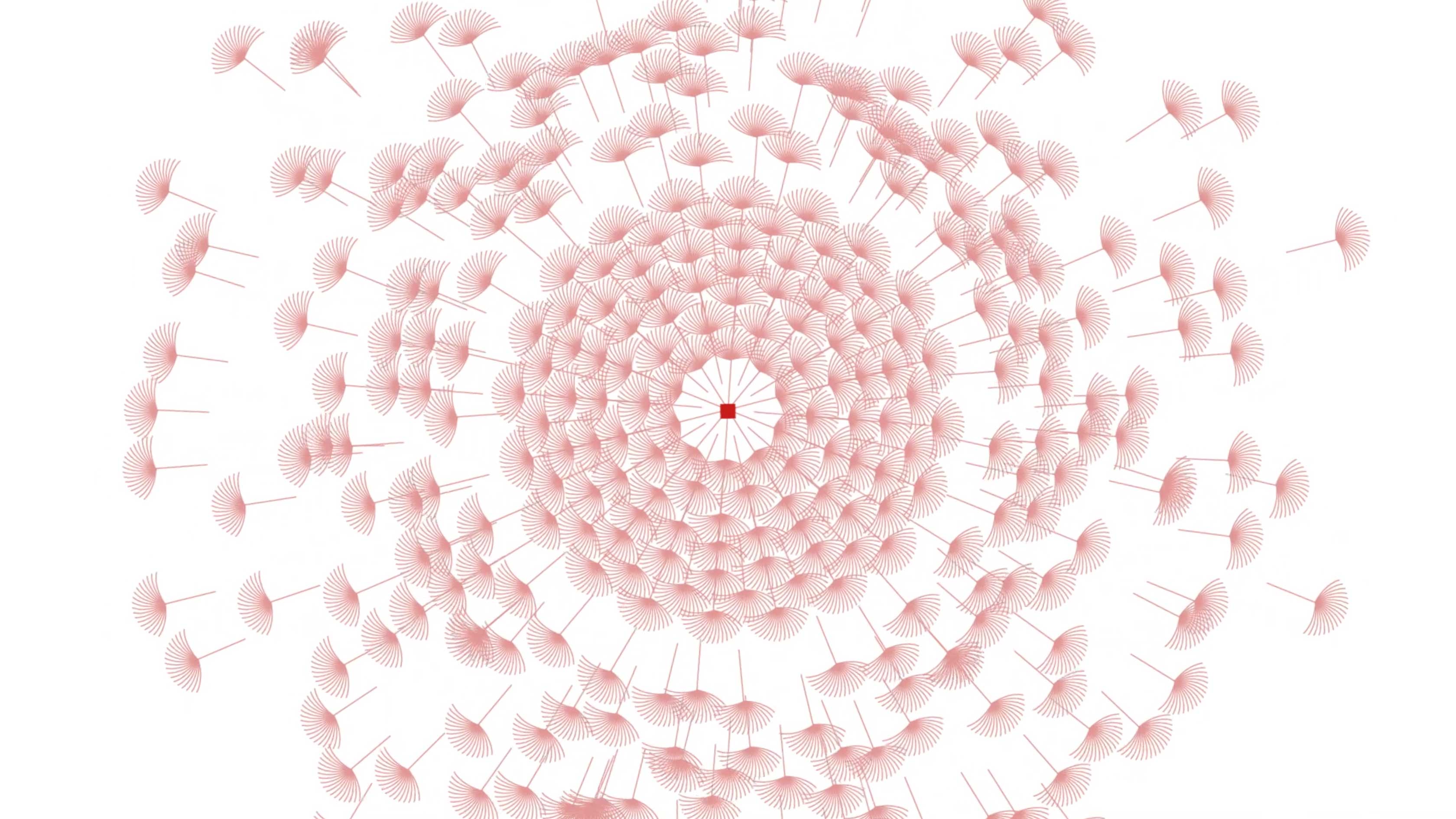 Explosion of the bigger flower