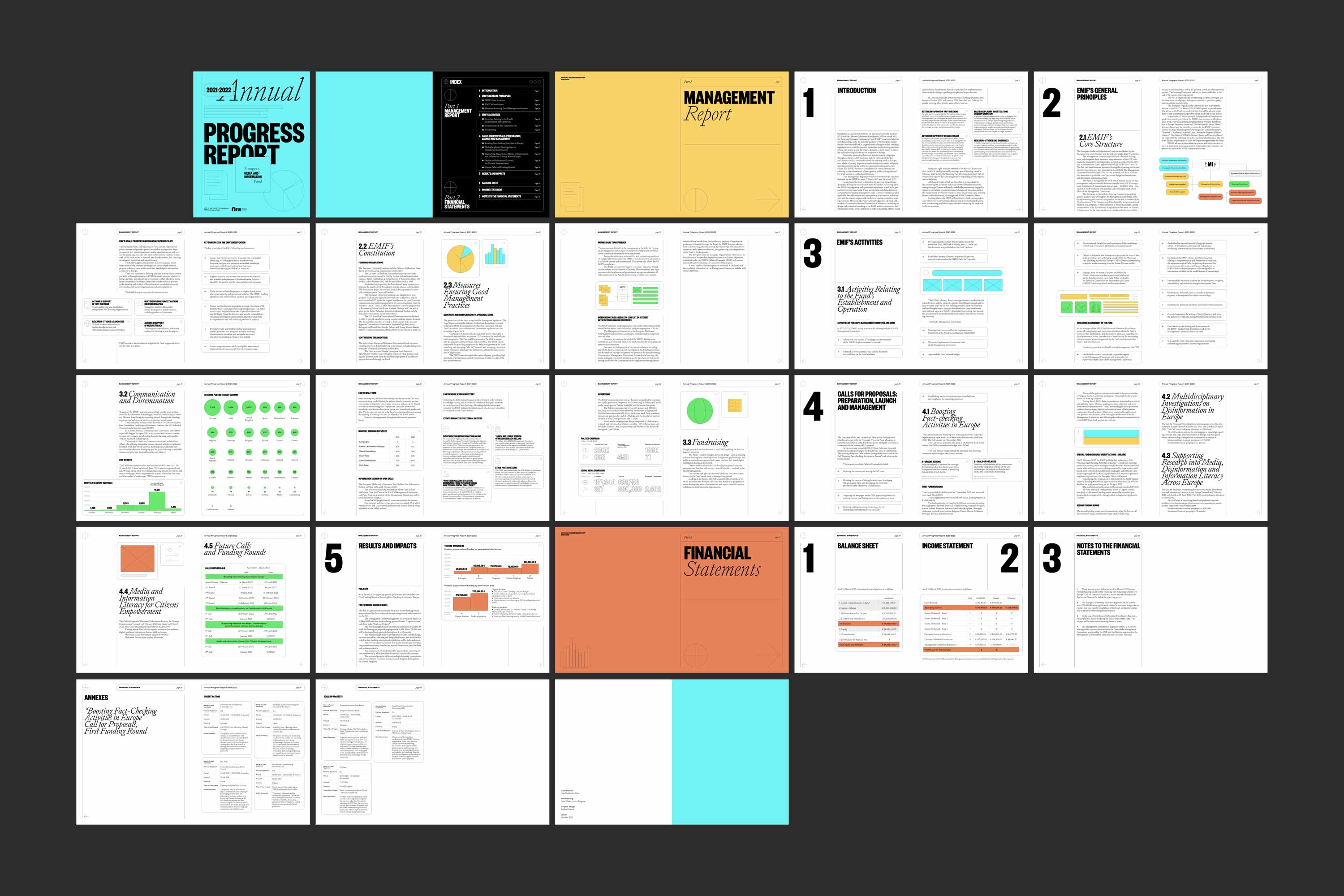 page report