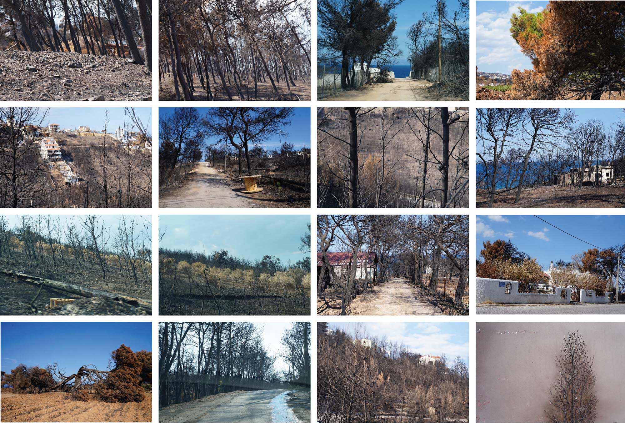 wildfire-1-pyros-real-estate-exhibition-design