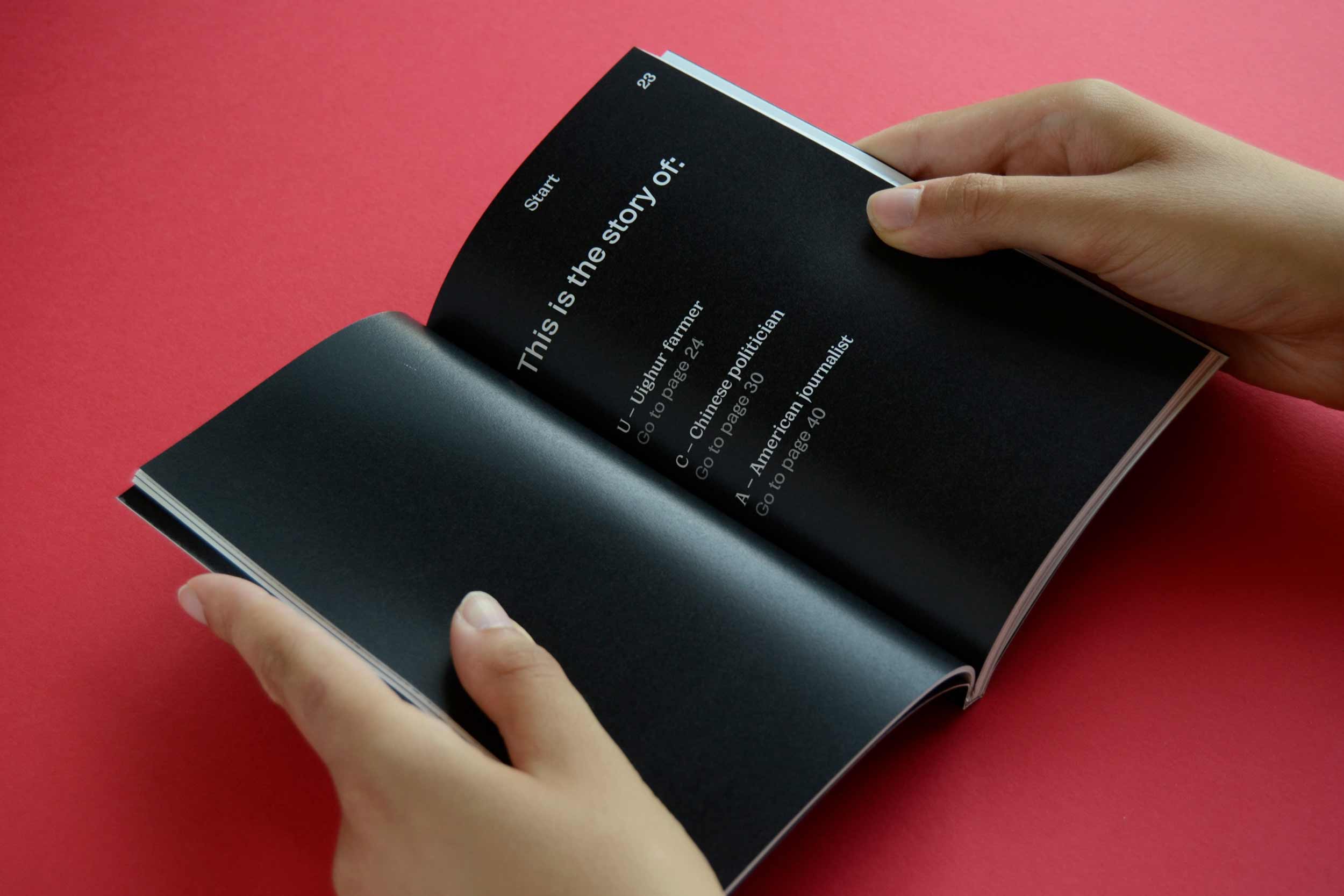 rec-in-china-book-uighur-information-editorial-design