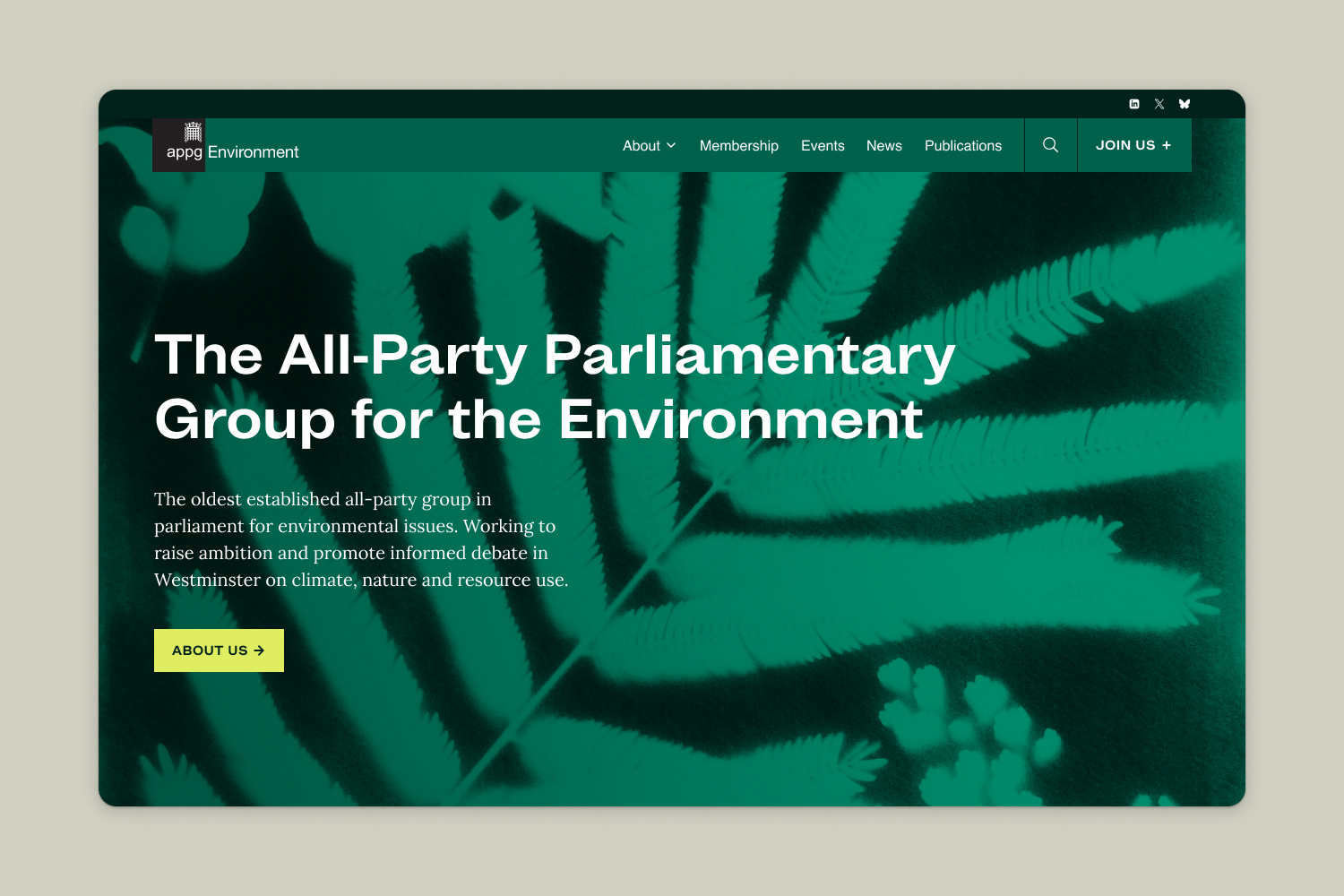 brand identity and web design for the UK parliamentary group APPG
