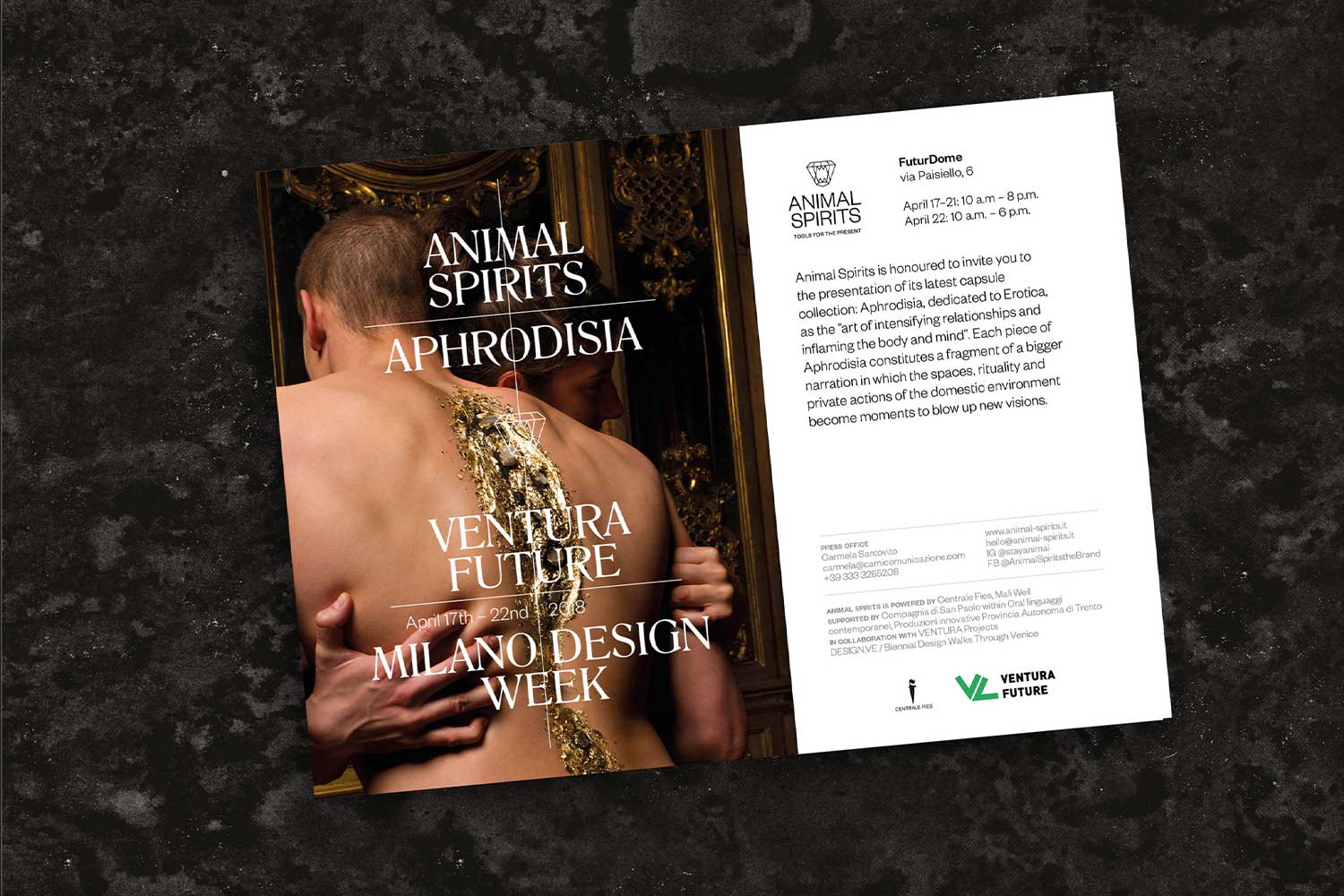 anymal spirits brand identity logo