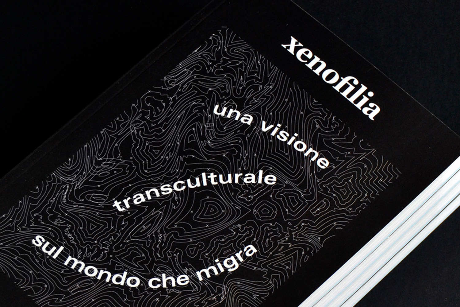 xenofilia-book-design-research-migration-map-editorial-design-italy